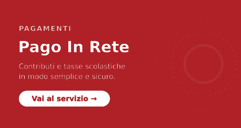 Pago In Rete